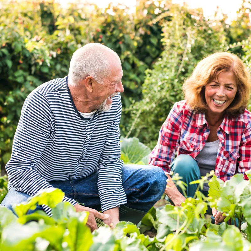 An older couple gardening together in their yard on a sunny day, representing the peace of mind that final expense coverage gives loved ones