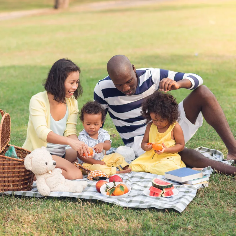 A family enjoying a picnic together, representing the security that chronic illness coverage provides